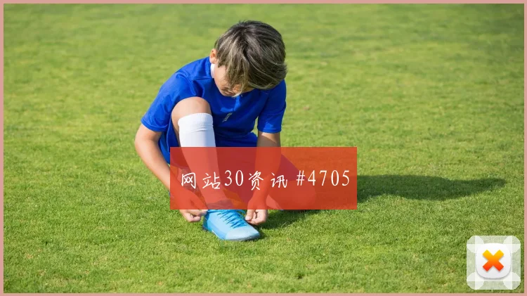 马尔迪2026世界杯球迷关注度