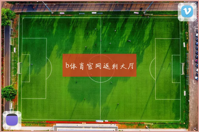 b体育官网返利大厅