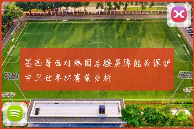 墨西哥面对韩国后腰屏障能否保护中卫世界杯赛前分析