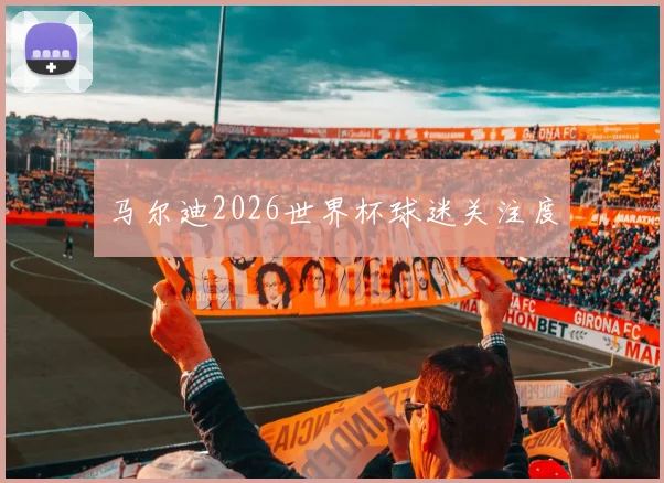 马尔迪2026世界杯球迷关注度