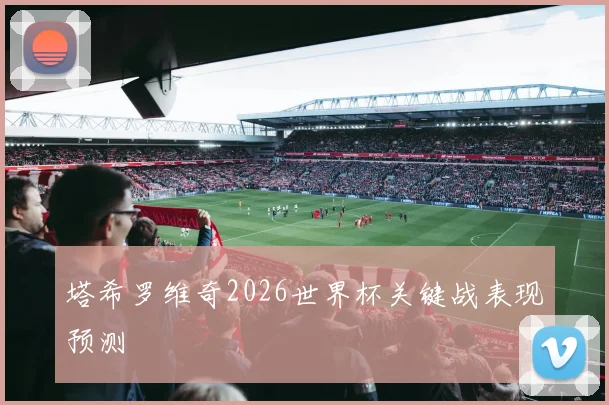 塔希罗维奇2026世界杯关键战表现预测