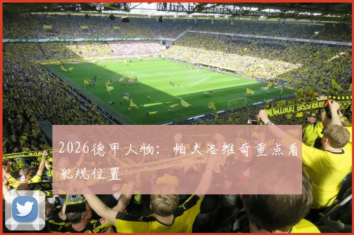 2026德甲人物：帕夫洛维奇重点看犯规位置